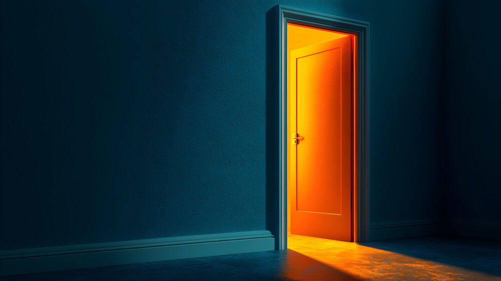 Backdoors 12systems GmbH Systemhaus Bremen IT-Dienstleister